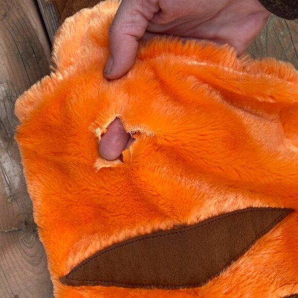 21-(1love)Tigger For Your Pooch - Picture 2 of 16